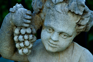 in-vino-veritas